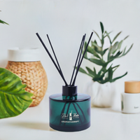 Aromatherapy Diffuser